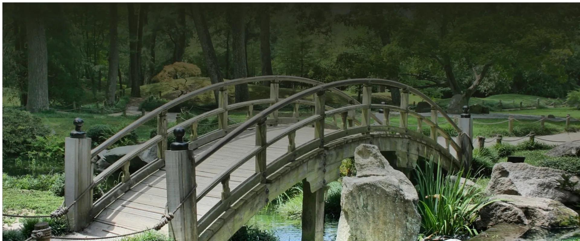 Welche Pflanzen eignen sich besonders für den Anbau im Gewächshaus?