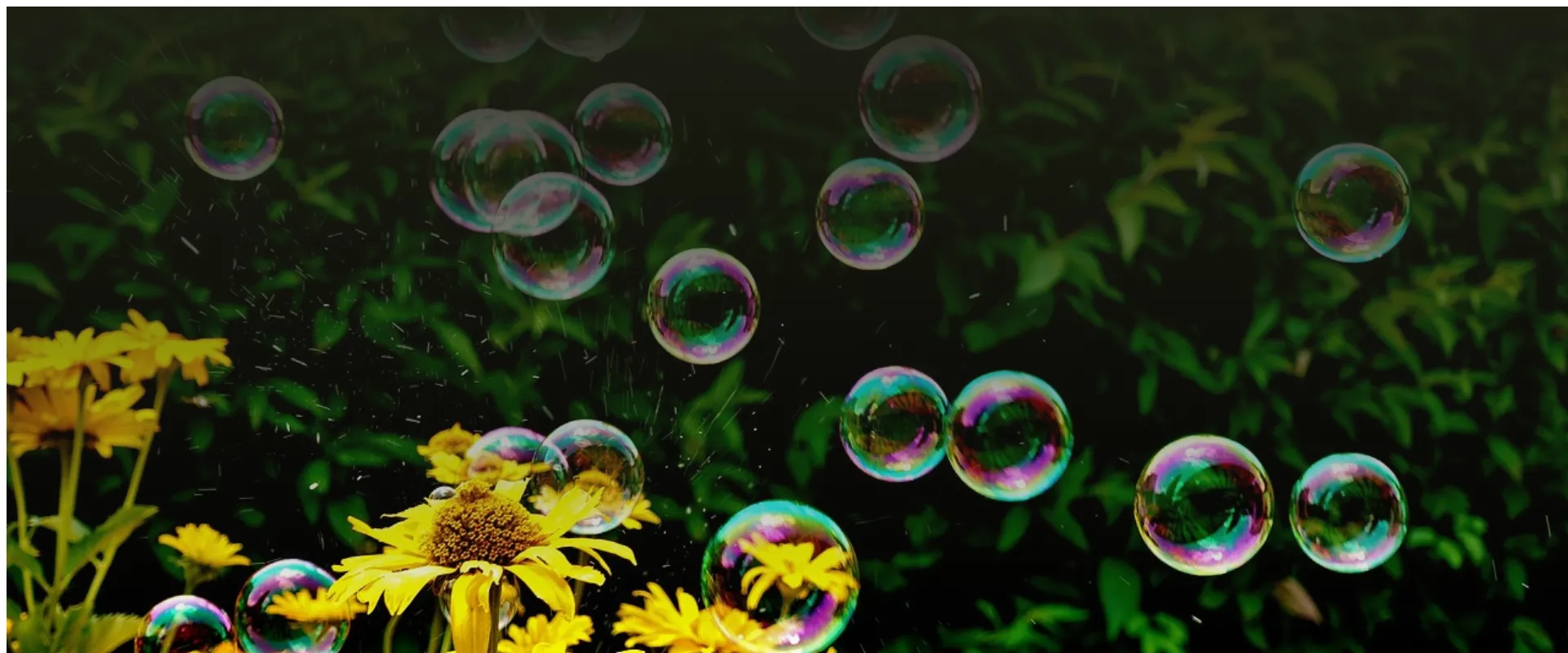 Welche Tipps helfen, den Garten auch in der kalten Jahreszeit attraktiv zu gestalten?